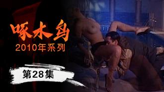 私下調教全過程啄木鸟10年系列-第28集