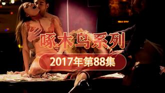 巨乳肥臀木瓜奶 啄木鸟17年系列-第88集