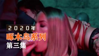 用力吸吮吸到欲罷不能的刺激 啄木鸟20年系列-第3集